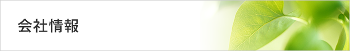 会社情報